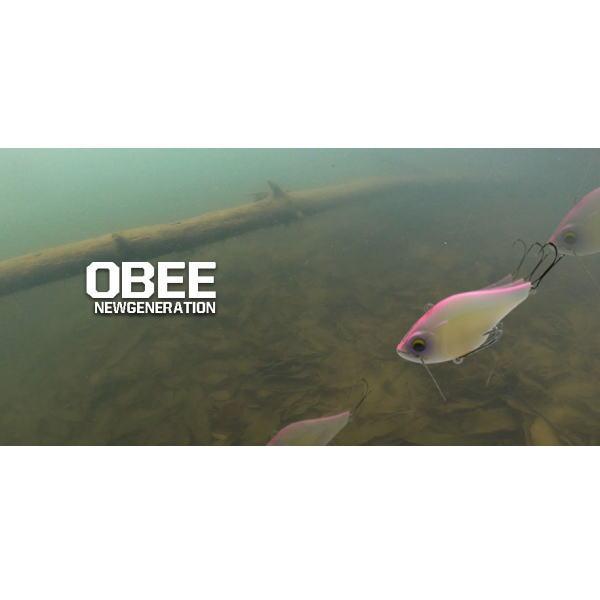サニーブロス OBEE オビー 11g