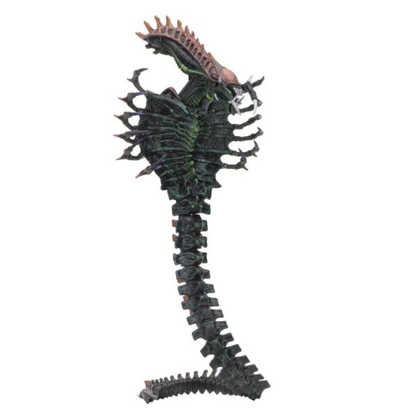 Neca - Figurine Aliens - Alien Snake 18cm - 063448...