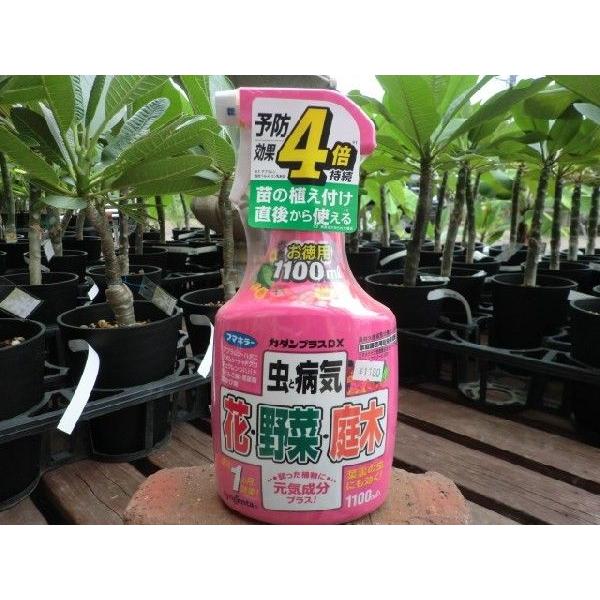 カダンプラスDX お徳用 1100ml あらゆる病害虫に効果的