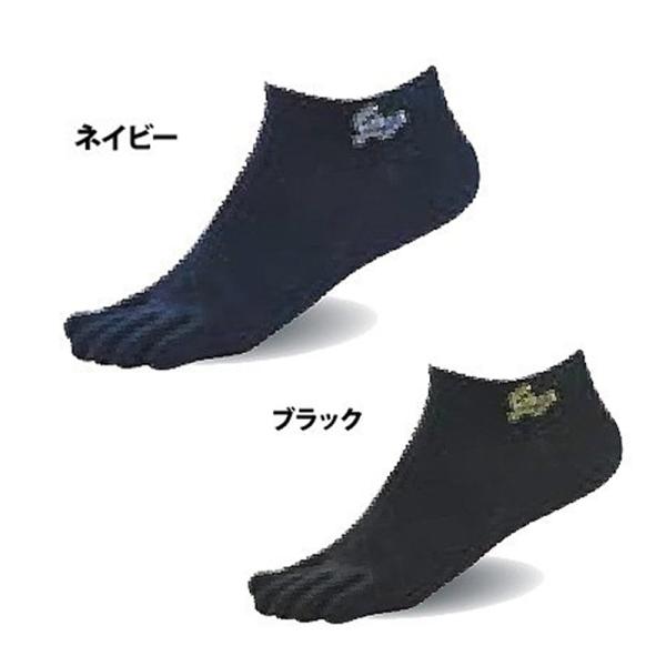 vۓcXbK[ ANT{w\bNX Ԃ js50