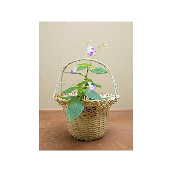 茶道具 花入・花籠 末広籠 玄々斎好写、 切箔上塗 竹入子 付、紙箱入
