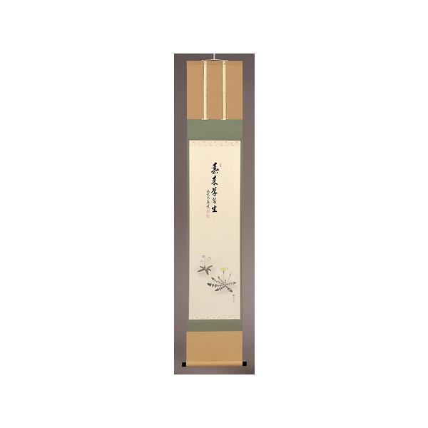 茶道具】書 掛軸 縦物 画賛、春草 「春来草自生」、足立泰道 和尚 賛