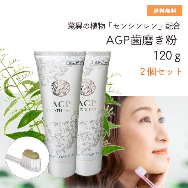 【2個セット】AGP歯みがき粉120ｇ センシンレン