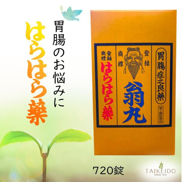 はらはら薬「翁丸」は300年以上の伝統をもっているおそらく日本最古の民間薬です。　ルーツをたどると神社仏閣に伝わっていた薬です。江戸時代になって商品化され家伝薬として伝えてまいりました。　本剤は生薬製剤を配合した胃腸薬で，日常よくおこる胃も...