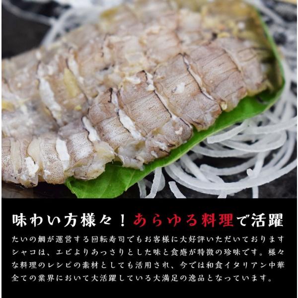 ムキシャコ 釜茹でシャコ 尾 シャコエビ ガサエビ ボイル Buyee Buyee Japanese Proxy Service Buy From Japan Bot Online