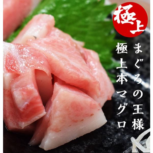 本まぐろ大とろ0グラム 寿司 ネタ 特上 海鮮丼 手巻き おつまみ 寿司パーティ お祝い 記念日 マグロ まぐろ 鮪 刺身 父の日 母の日 グルメ おおとろ 大トロ Buyee Buyee 提供一站式最全面最專業現地yahoo Japan拍賣代bid代拍代購服務 Bot Online