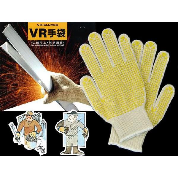 [i VRO[u VR30P hbgH ( ƖpbN 10o ) ؑn h~ ϔM    pi