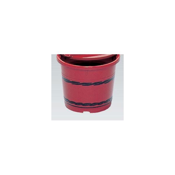 �T���R�[ �O�b �^�� ��h�M 1K �{�� 400151�̂݁@�v���X�`�b�N �M