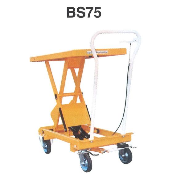 iV e[u tg BS75 ύډ׏d 750kg  tg nhtg