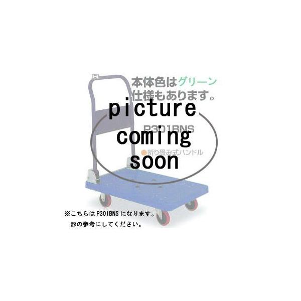 ύډ׏d 150kg  艟 ACP[L[IKL[ P101NS ב䐡@ 720×465 ΐ쐻쏊 {