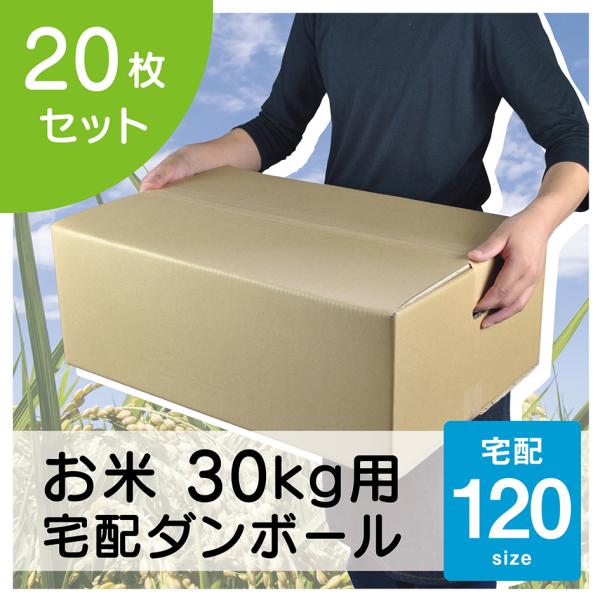 120サイズ 20枚 ダンボールの人気商品・通販・価格比較 - 価格.com 120サイズ 20枚 ダンボールの人気商品・通販・価格比較 - 価格.com