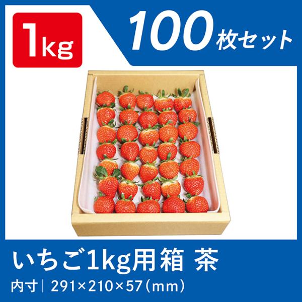いちご ダンボール 1kg 用 苺 ケース 段ボール 箱 梱包 出荷 茶 いちご ダンボール 1kg 用 苺 ケース 段ボール 箱 梱包 出荷 茶