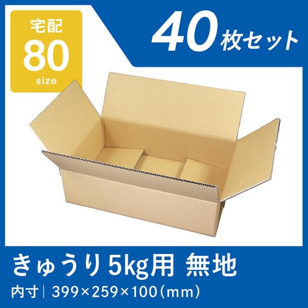 きゅうり ダンボール 5kg用 強化芯 40枚 ズッキーニ ゴーヤ 宅配