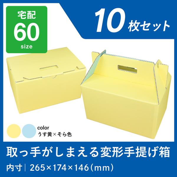 青果 段ボール カラー さつまいも みかん ダンボール 宅配 60 10