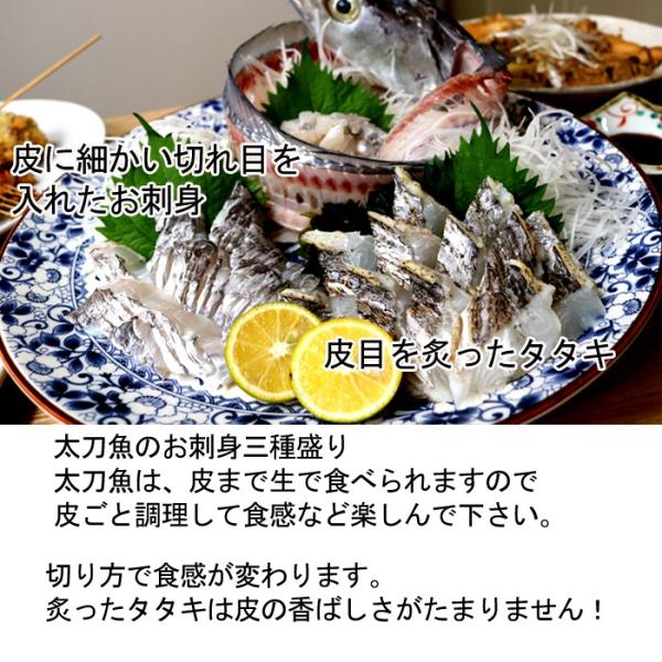 太刀魚 1kg 山口県周防大島産もしくは長崎のブランド五島太刀 釣り たちうお タチウオ お刺身 Buyee Buyee 日本の通販商品 オークションの代理入札 代理購入