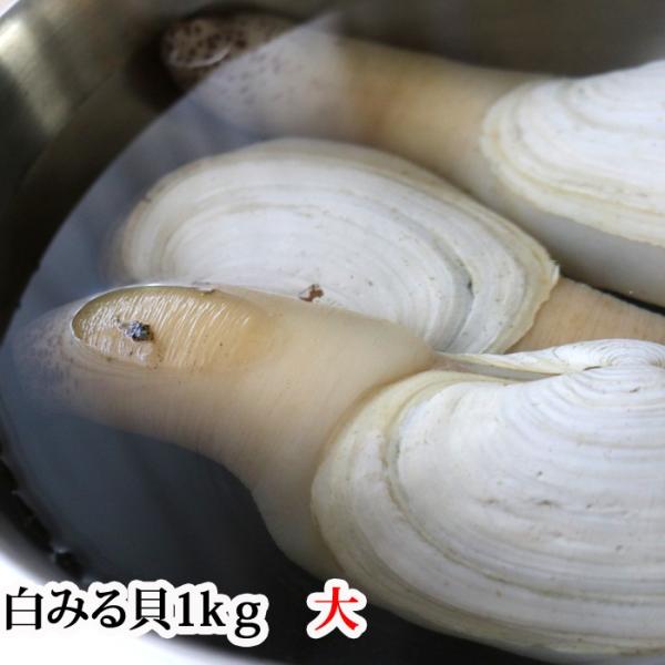 みる貝