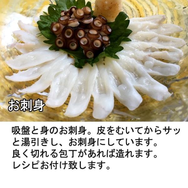 広島産 生真たこ 1 5ｋｇ タコ 蛸 生 刺身 しゃぶしゃぶ Buyee Buyee Japanese Proxy Service Buy From Japan Bot Online