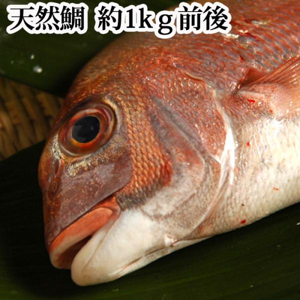 天然 鯛の人気商品 通販 価格比較 価格 Com