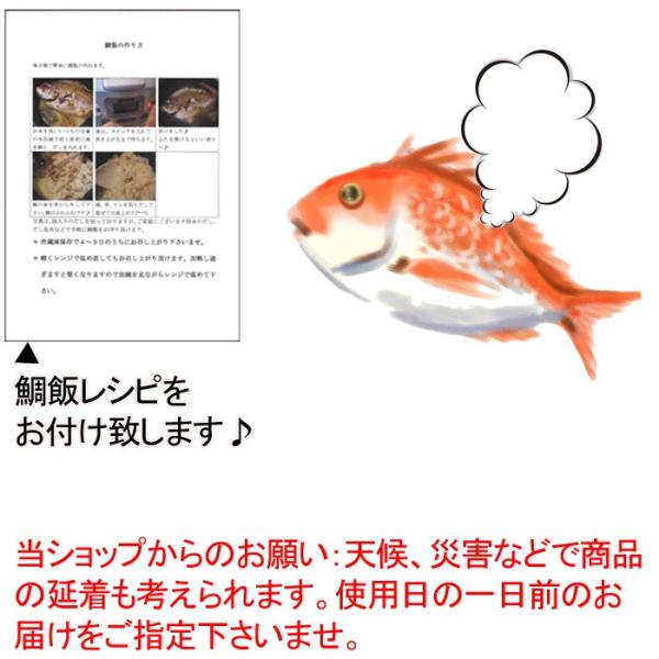 焼き加工券 瀬戸内の天然真鯛を御祝い用に焼く加工券 天然鯛は別途ご注文ください Buyee 日本代购平台 产品购物网站大全 Buyee一站式代购