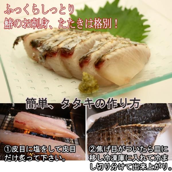 鰆 さわら サワラ 3ｋｇの半身 お刺身 たたきは格別です Buyee 日本代购平台 产品购物网站大全 Buyee一站式代购 Bot Online