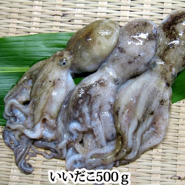 いいだこ500ｇ 瀬戸内海産もしくは佐賀産 この時期 卵を持っています イイダコ 飯蛸 子持ち たこ S 0124 瀬戸内たいたいclub 通販 Yahoo ショッピング