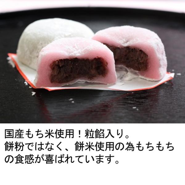 紅白大福餅 紅白餅餡入り 65ｇx2個 冷凍 上棟式結婚式敬老の日卒業入学合格祝い退職お返しお菓子引き菓子プチギフトあん入り粗品 Buyee