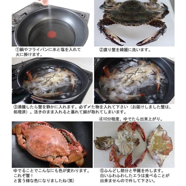 ワタリガニ オス 渡り蟹 ガザミ 1ぱい 400 500ｇ 瀬戸内海産 活き締め Buyee Buyee 提供一站式最全面最專業現地yahoo Japan拍賣代bid代拍代購服務 Bot Online