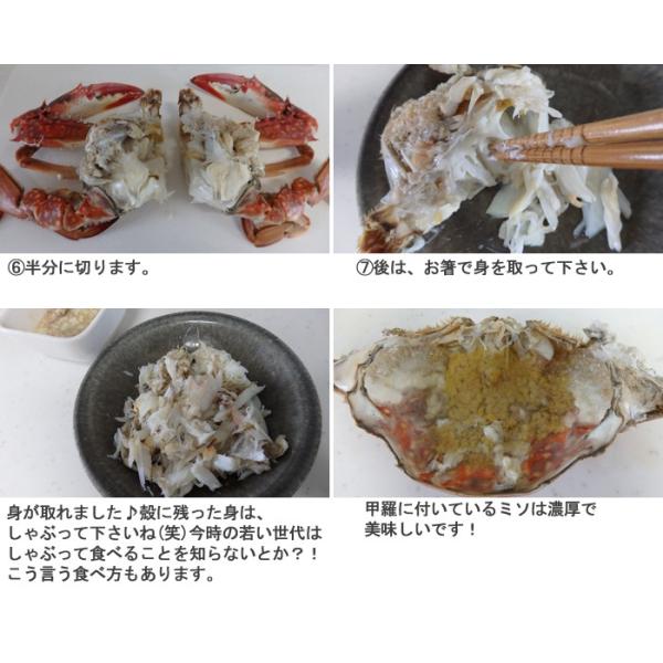 ワタリガニ オス 渡り蟹 ガザミ 1ぱい 400 500ｇ 瀬戸内海産 活き締め Buyee Buyee 提供一站式最全面最專業現地yahoo Japan拍賣代bid代拍代購服務 Bot Online