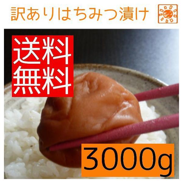 ~Rj@݂͂~1KxR @킯@