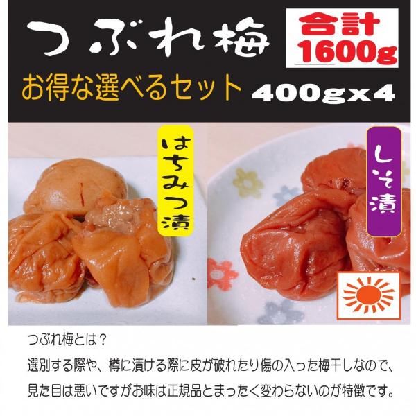 󂠂~1.6K@Iׂ~ 400pbNx4@