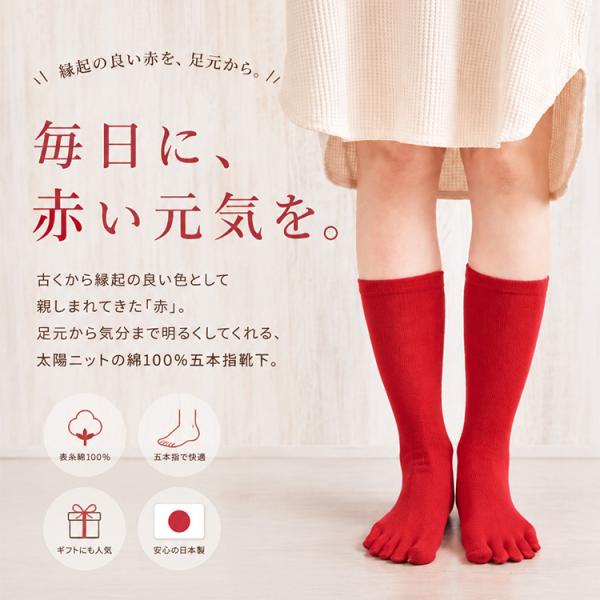 赤い五本指靴下 レディース 綿100％ 日本製 表糸綿100％ 抗菌防臭 コットン 還暦祝い 健康祈願 60歳祝い 母の日 縁起物 ギフト プレゼント 320-red 太陽ニット