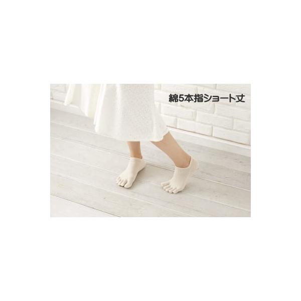 5�{�w�\�b�N�X �� �V���[�g�� �ܖ{�w�C�� ����Ԃ��� �R�� �h�L���H ���� �ނ� �ɂ��� �d�˗��� �ėp�C�� 23-25cm N200 ���z�j�b�g