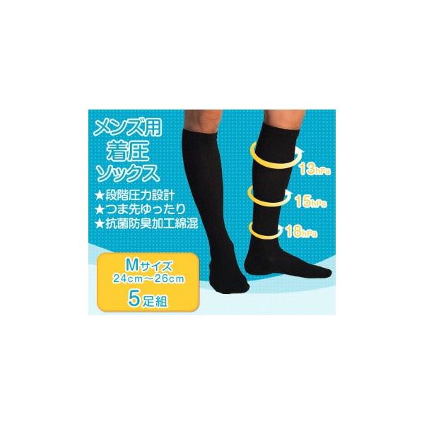 y5gzY \bNX ȍ  ̔ ނ Ö GRm~[ǌQ St Rۖh LH 24-26cm N001-M5p zjbg