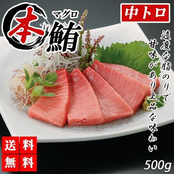 まぐろ 本マグロ 中トロ 500g 刺身 マグロ 鮪 本まぐろ トロ まぐろ 本マグロ 中トロ 500g 刺身 マグロ 鮪 本まぐろ トロ