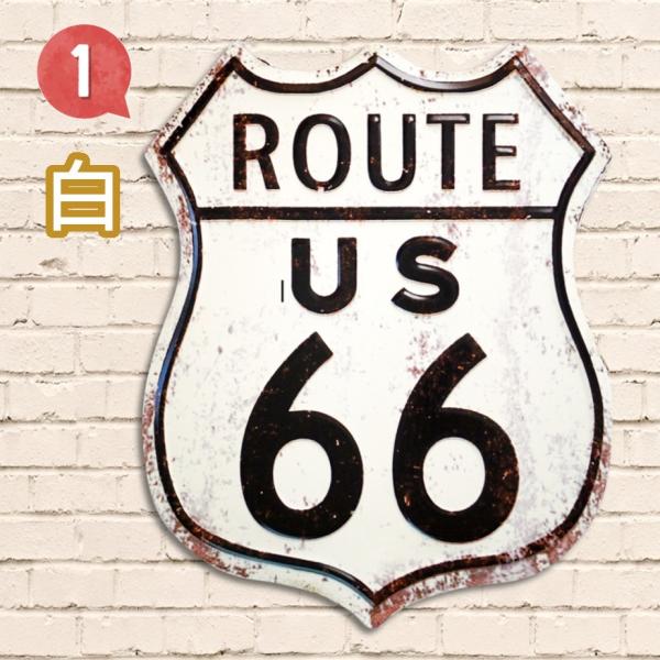 taiyozakka_50e-66-m1_3