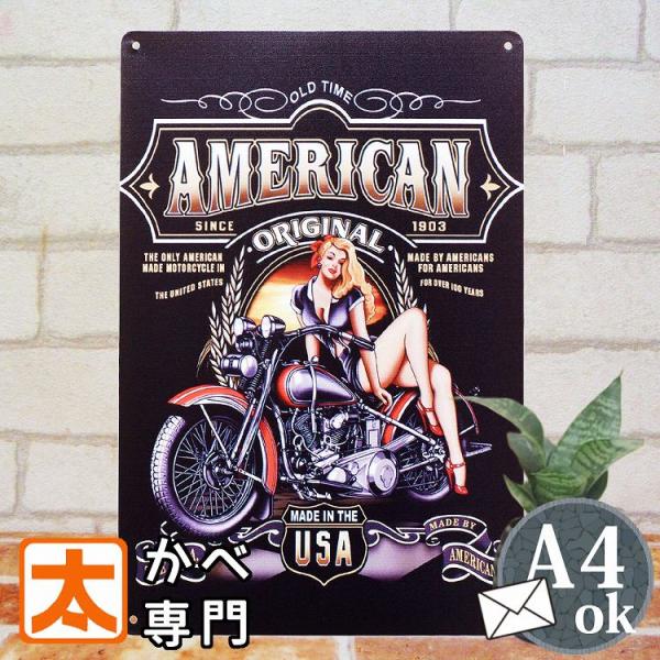 ＼【最大５００円クーポン】下の 『すべて見る』 をタップ！／■サイズ・横　　 20cm・たて　 30cm (縦長)・重さ　120g　A4クラス　■特徴・薄く扱いやすいインテリア雑貨プレート・紐使用。立てかけ壁掛け自由な飾り方・アートポスター...