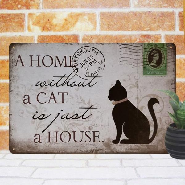 taiyozakka_cathouse_4_d_20250209122612