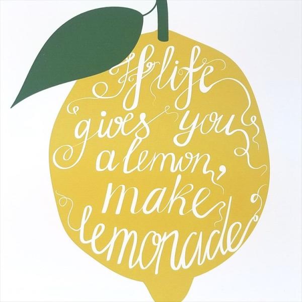 taiyozakka_cn22-lem_5