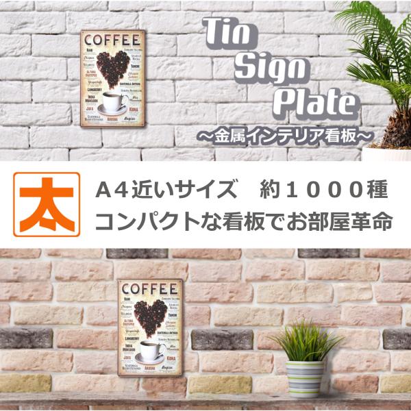 taiyozakka_coff-he1_3_d_20231106221109