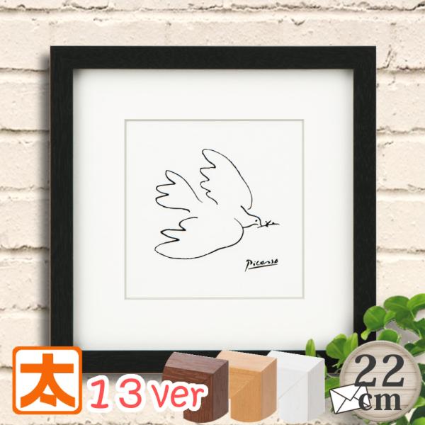 taiyozakka_f22-pc-m1