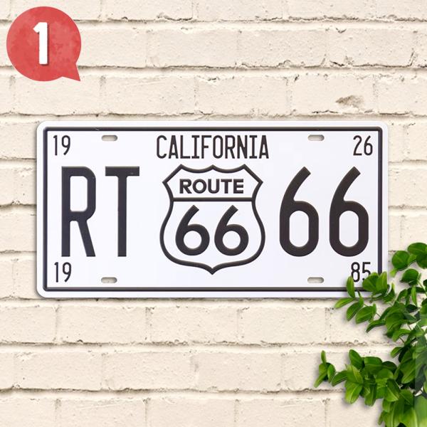 taiyozakka_n30e-66m1_3_d_20260228123735