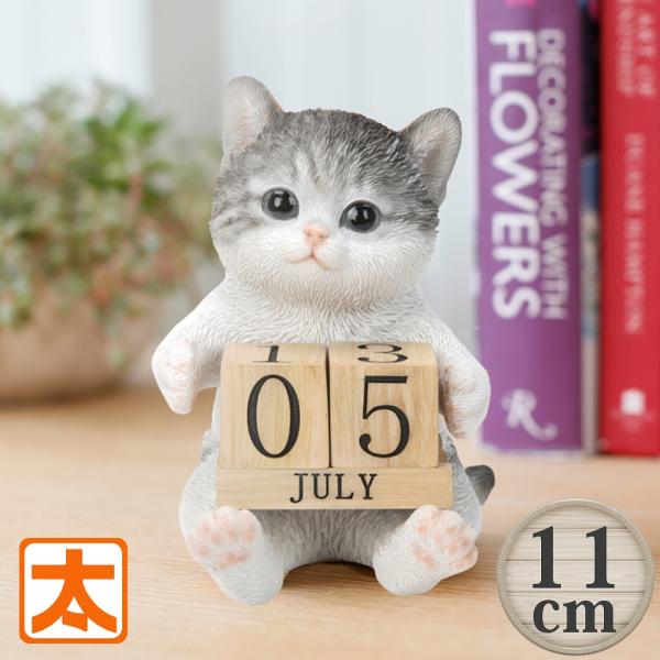 猫の寅さん専用 Amazon.co.jp: デコレ(DECOLE) concombre コンコンブル フーテン