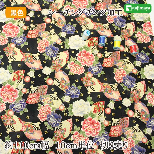 和柄 百花繚蘭 吉祥文様 金彩扇文 黒色 約110cm幅 10cm単位