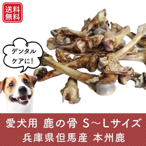 愛犬用鹿の骨 Sサイズ1本 長さ13 cm 小型犬 無添加 おいしい鹿肉付き 兵庫県但馬産本州鹿 Hones たじマート 通販 Yahoo ショッピング