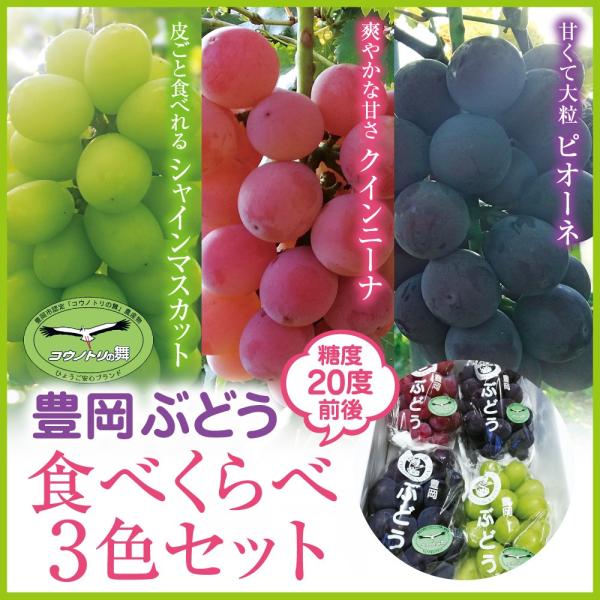 当店限定 豊岡ぶどう3色セットa品1 5kg シャインマスカット ピオーネ クイーンニーナ各1房 大粒種なし 農園直送 兵庫県産 Toyoka Budo A3set たじマート 通販 Yahoo ショッピング