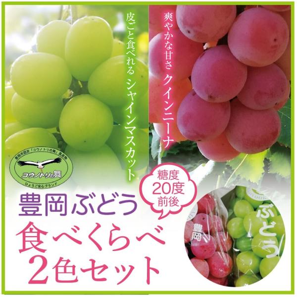 お試し用 豊岡ぶどうb品 2色セット1kg シャインマスカット クイーンニーナ各1房 大粒種なし 農園直送 兵庫県産 Toyookabudo 2setb たじマート 通販 Yahoo ショッピング