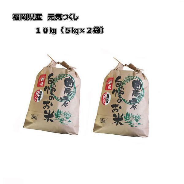 　[ 元気つくし ] [ 10kg (5kg×2) ]　令和7年産 福岡県産　農家直送　送料無料　新米