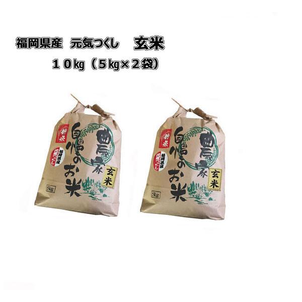 元気つくし [ ] 玄米 10kg (5kg×2袋) 令和7年産 福岡県産 農家
