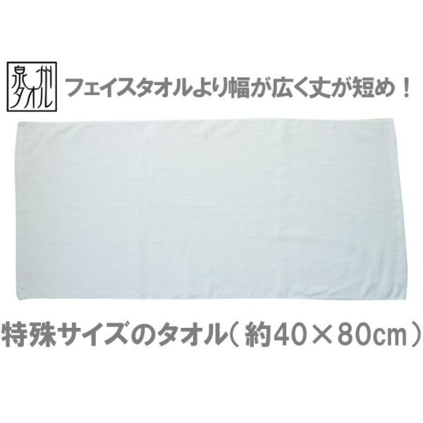 ^I TCYtFCX^I(40×80cm)1125g[300]  B^I {^I Y L䂪Z Vpxbh Ԃp Ywl TK322-a