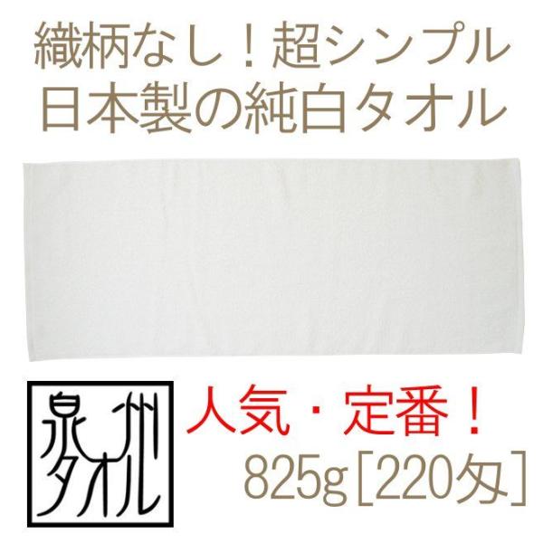 ^I {tFCX^I(825g[220]\tg/pC/{[_[Ȃ)34cm88cm  B^I Y ei  Vv ƒp Ɩp  TK430